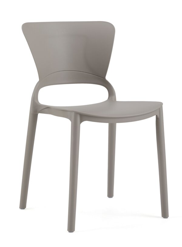 861 Plastic Chairs One-piece Injection Molding Plastic Chairs